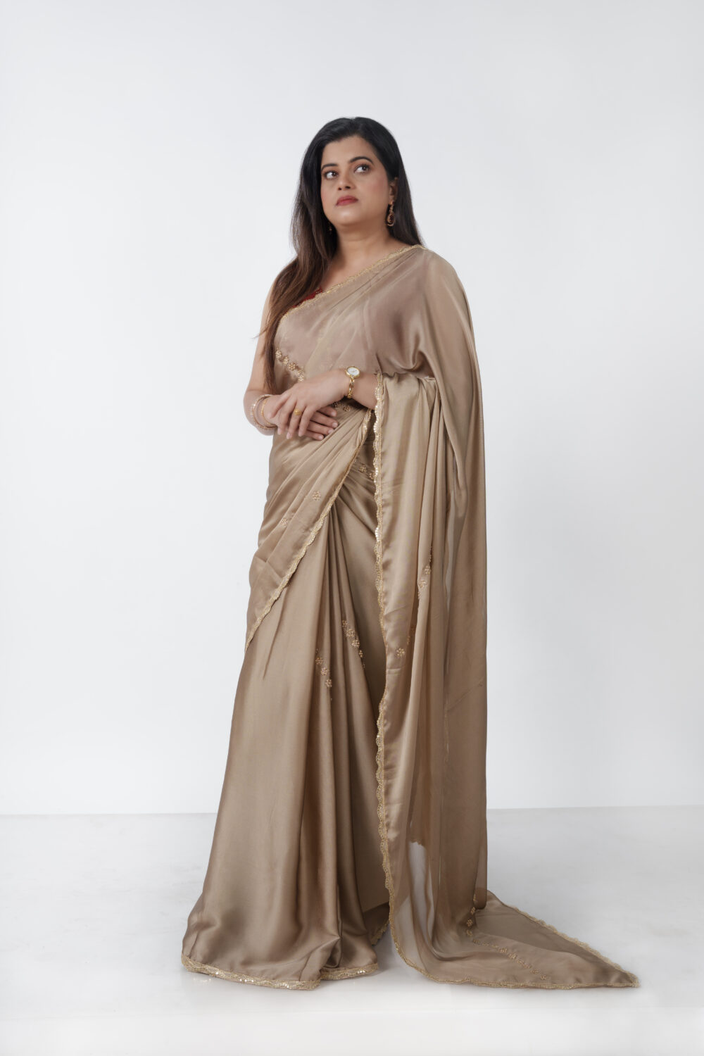 Tan Gold Silk Organza Saree - Image 4